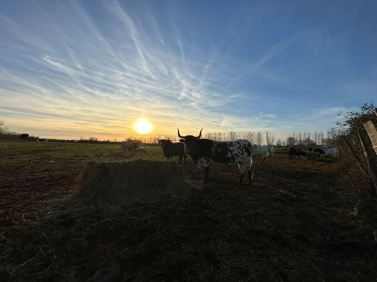 Villa Cerisier Climatisée, à La Campagne *
