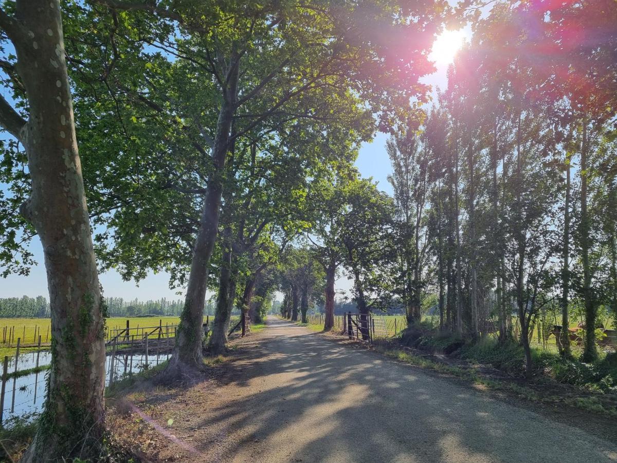 Cerisier Climatisée, à La Campagne Arles