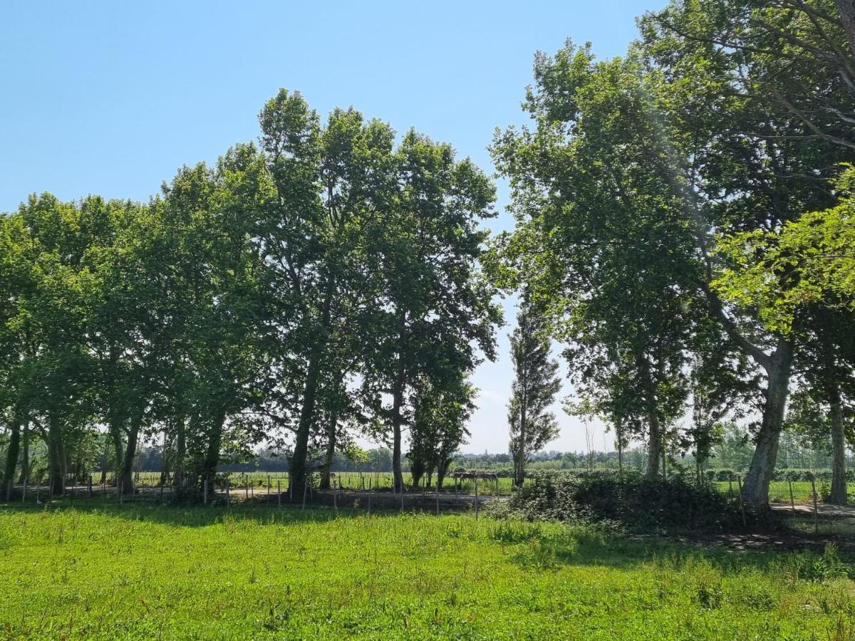 Cerisier Climatisée, à La Campagne Villa Arles