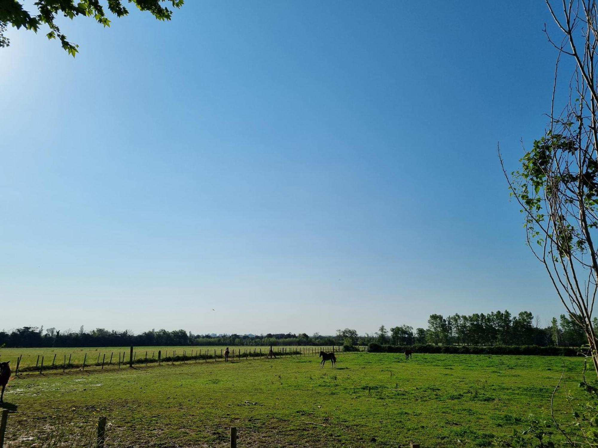 Villa Cerisier Climatisée, à La Campagne *