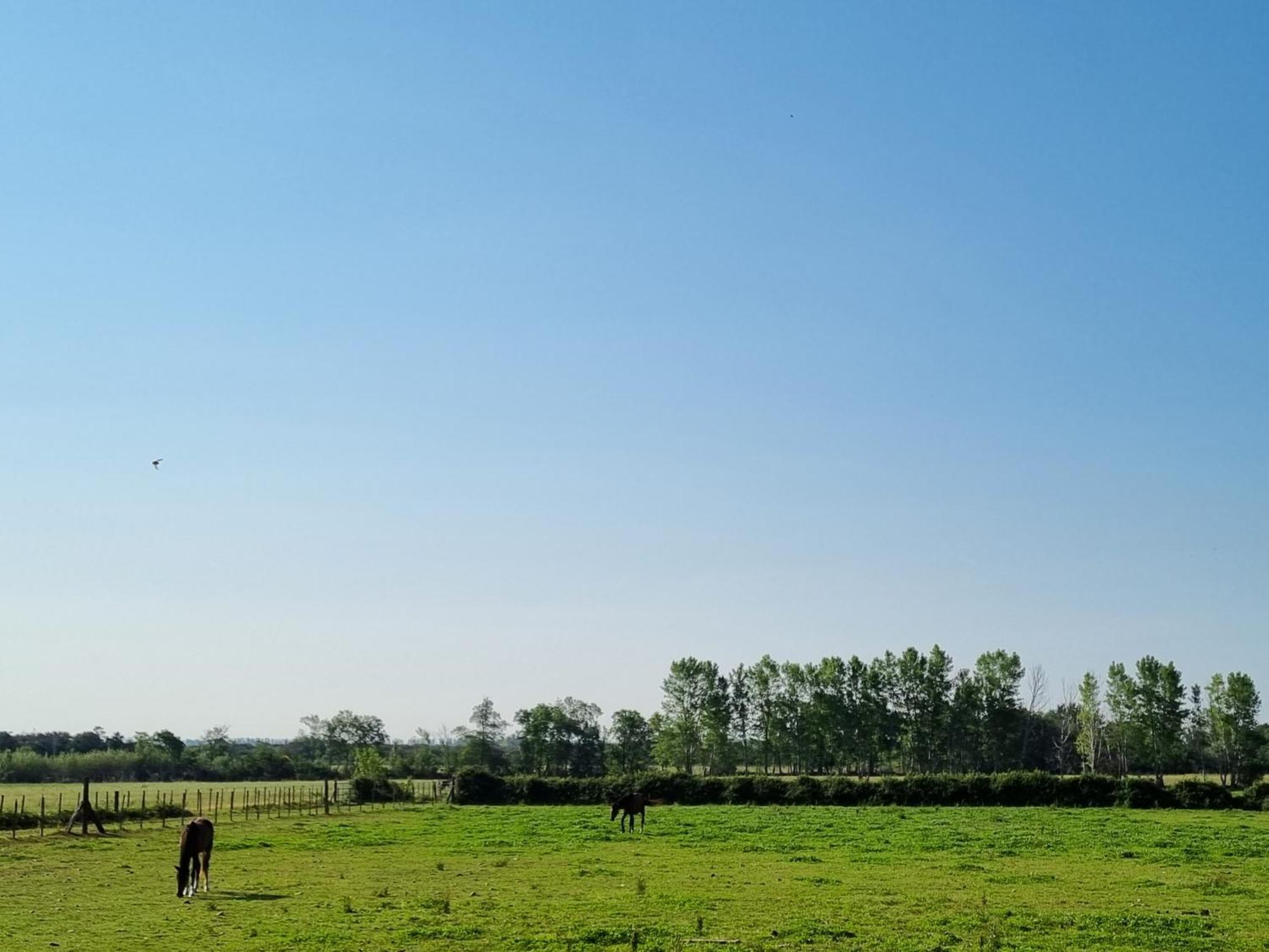 Villa Cerisier Climatisée, à La Campagne Arles