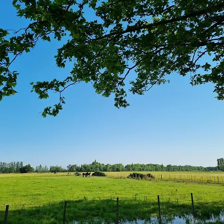Villa Cerisier climatisée, à la campagne Arles Exterior foto